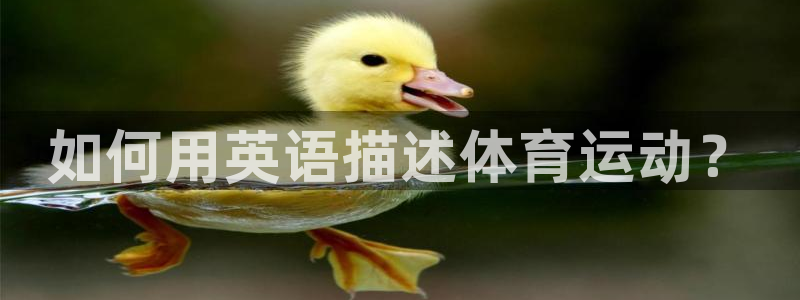 德国千亿国际官方正版app集团:如何用英语描述体育运动?