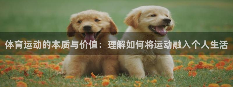 千亿国际官网下载娱乐:体育运动的本质与价值:理解如何将运动融
