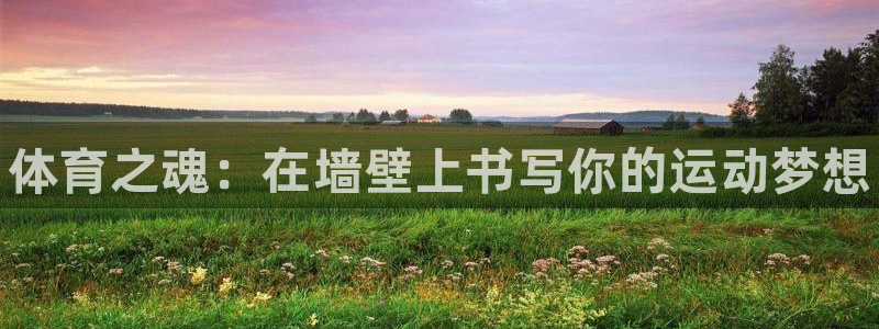 千亿国际官网下载注册:体育之魂:在墙壁上书写你的运动梦想