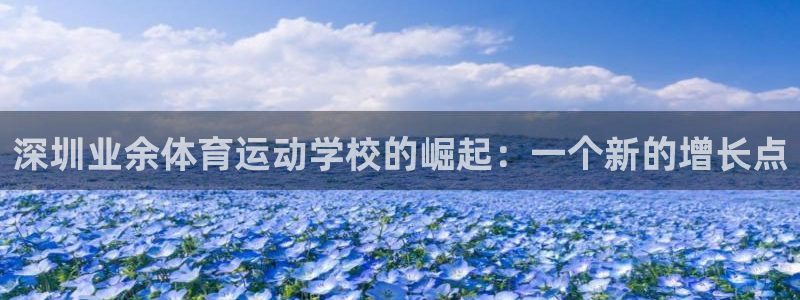 千亿国际官方正版app集团官网网址:深圳业余体育运动学校的崛